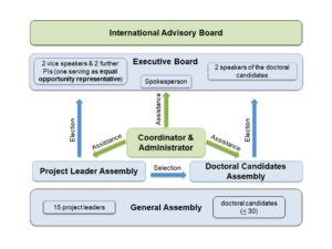 Organizational Structure of the RTG 2740