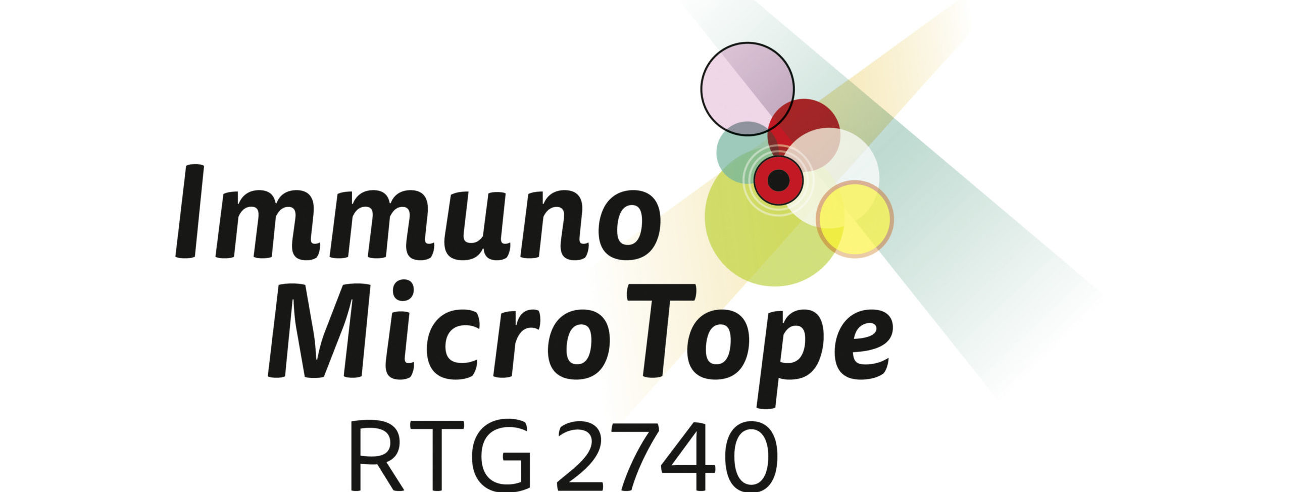 DFG Research Training Group 2740 Immunomicrotope –